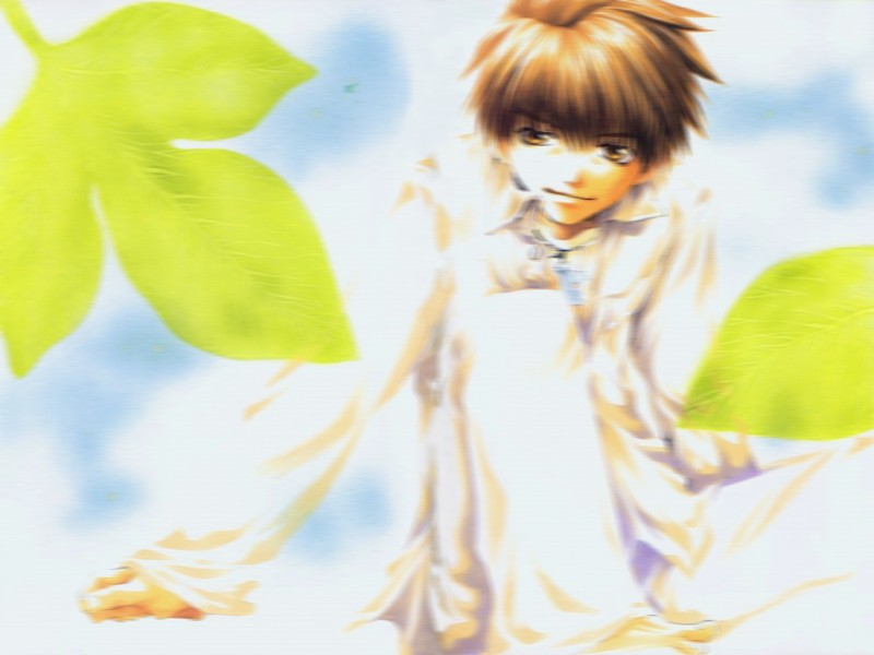 Otaku Gallery  / Anime e Manga / Saiyuki / Wallpapers / 015.jpg